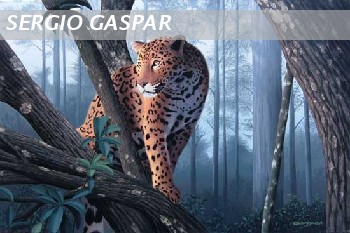 Jaguar en la jungla