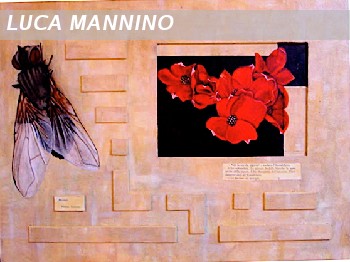 la nausea