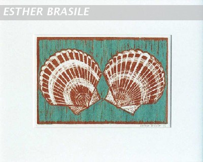 Scallop Shells