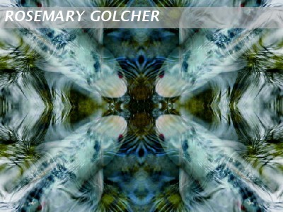 Encounter Fish 3