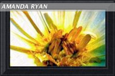 Burst Of Sunshine Flower